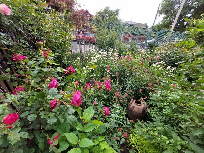  - 2023 mai continuare