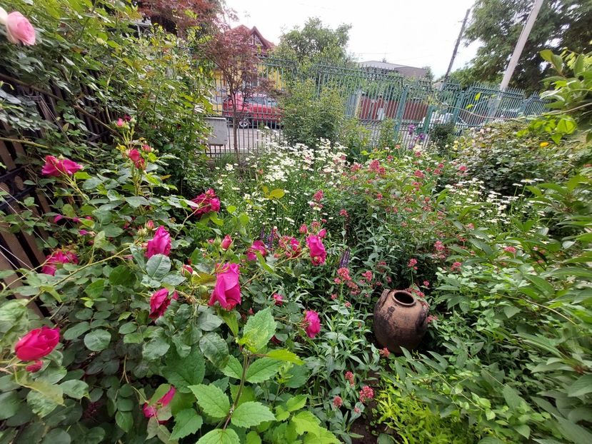  - 2023 mai continuare