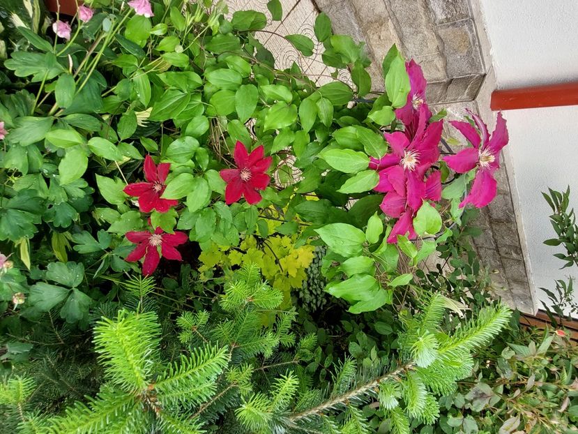  - 2023 mai continuare