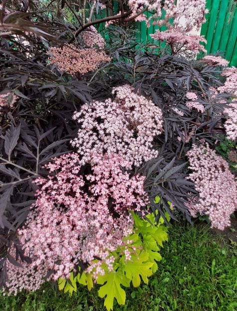  - 2023 mai continuare