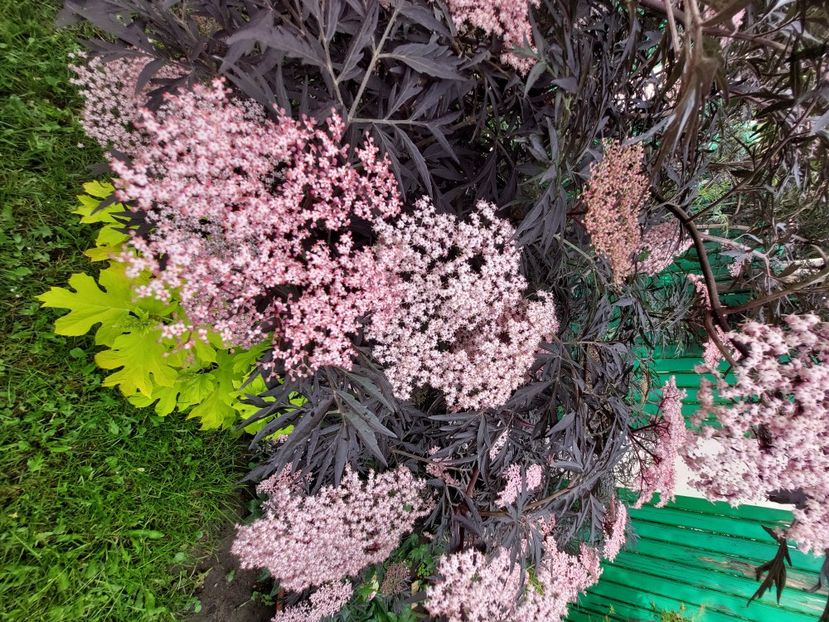  - 2023 mai continuare