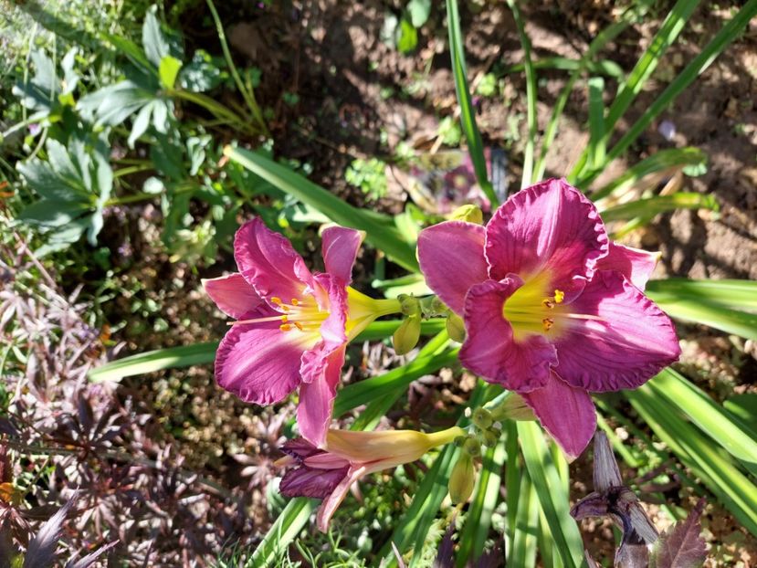  - 2023 iulie aug sept