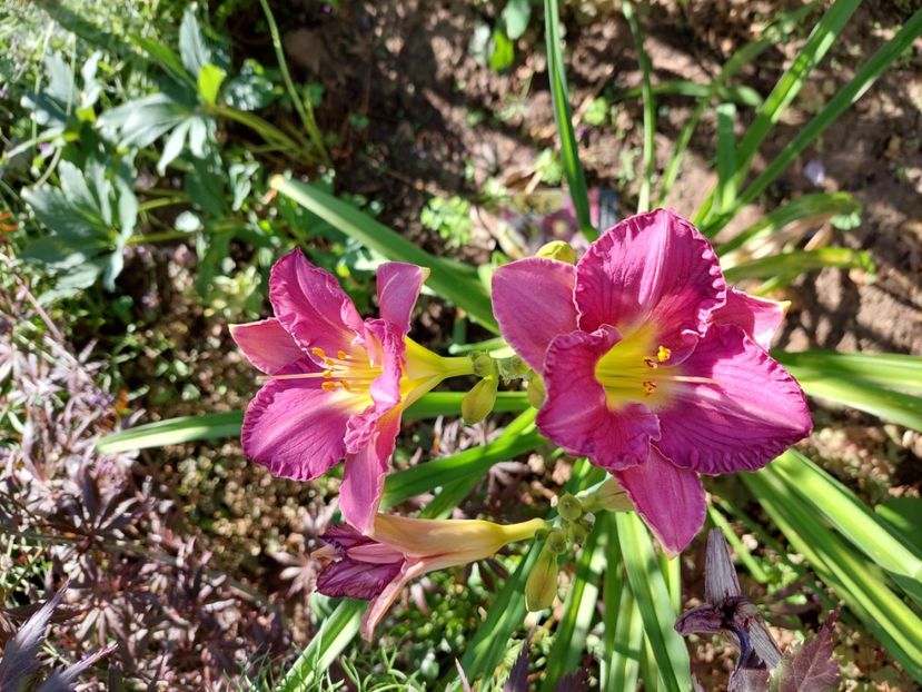  - 2023 iulie aug sept