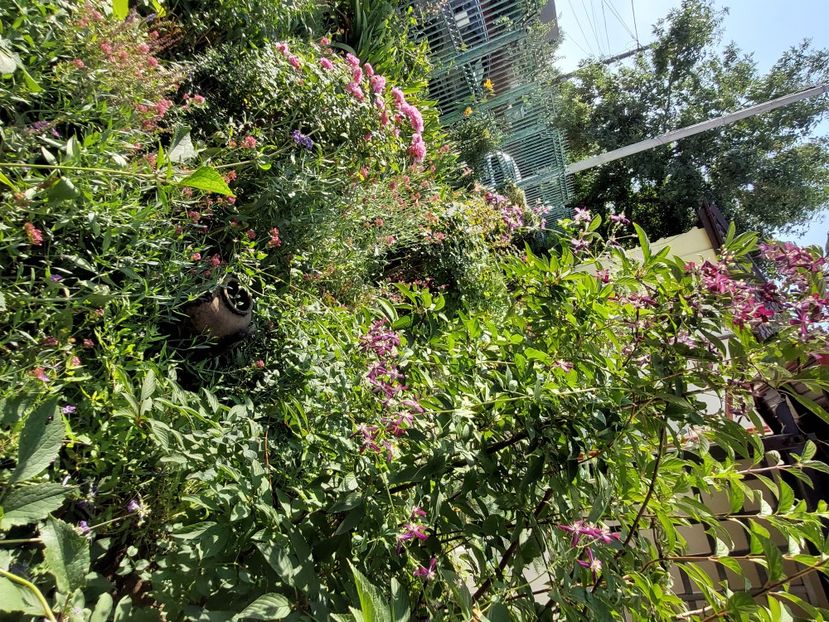  - 2023 iulie aug sept