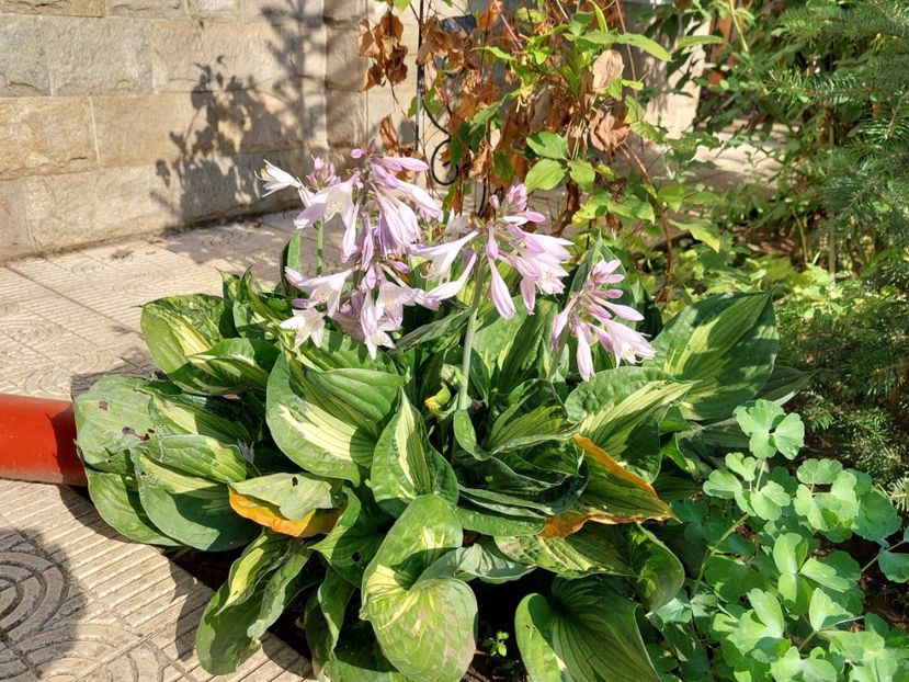  - 2023 iulie aug sept