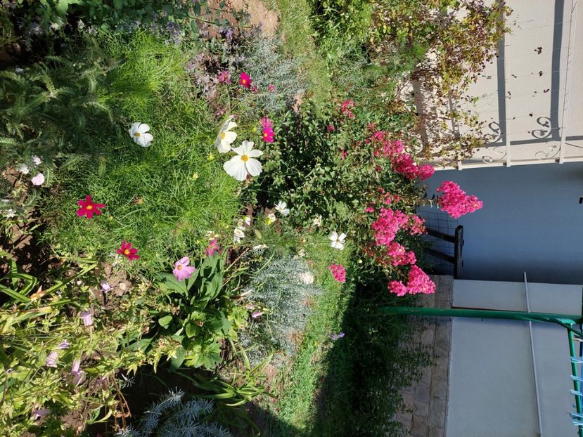  - 2023 iulie aug sept