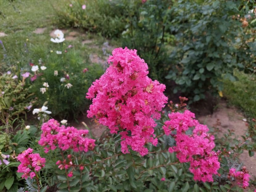  - 2023 iulie aug sept