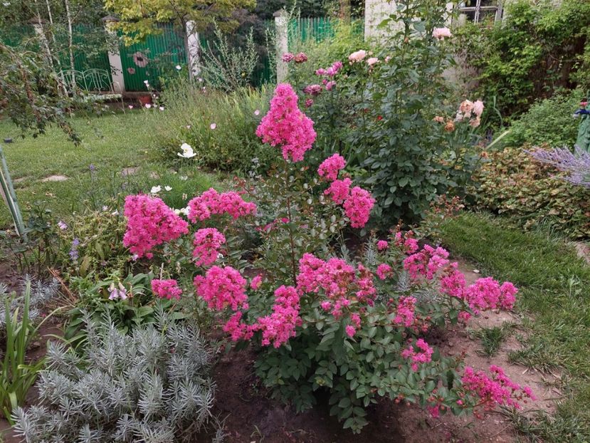  - 2023 iulie aug sept