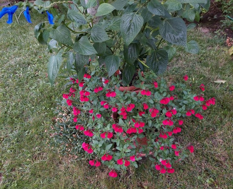  - 2023 iulie aug sept