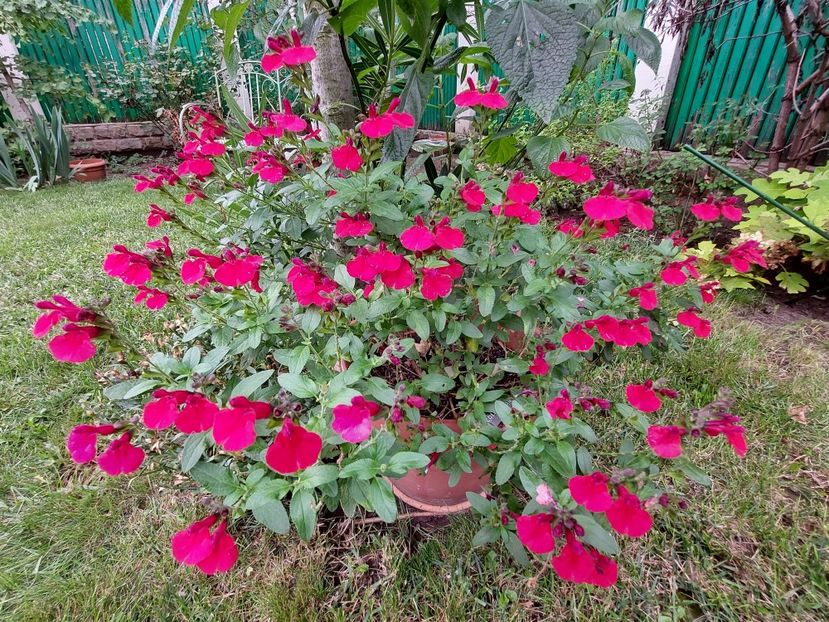  - 2023 iulie aug sept