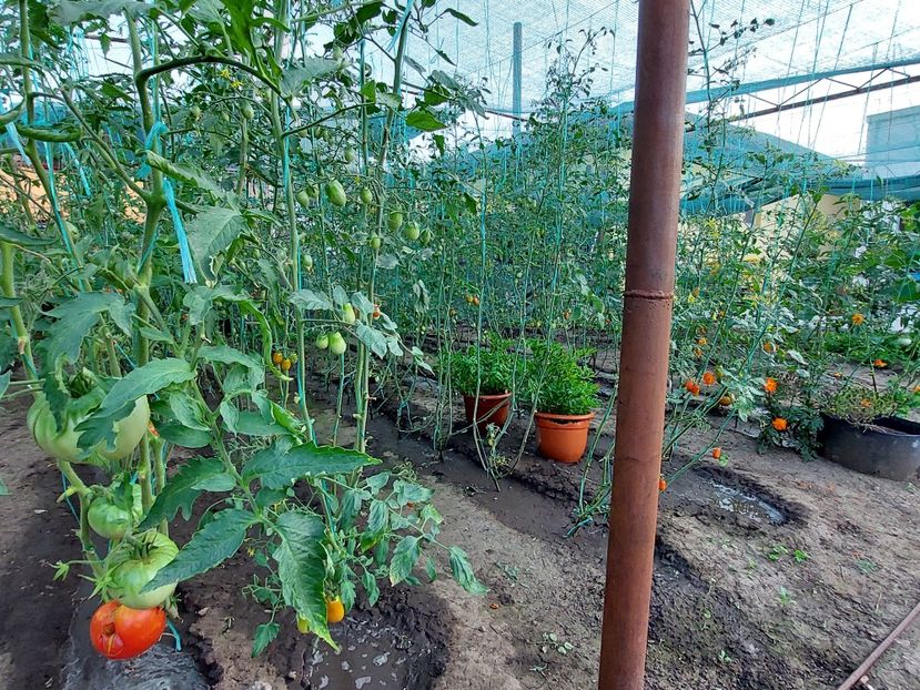  - 2023 iulie aug sept