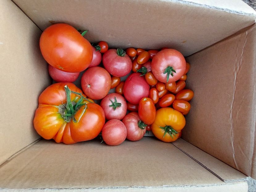  - 2023 iulie aug sept