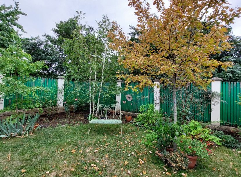  - 2023 iulie aug sept