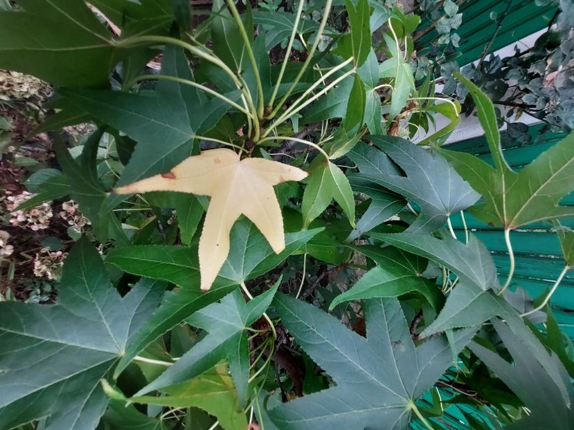  - 2023 iulie aug sept