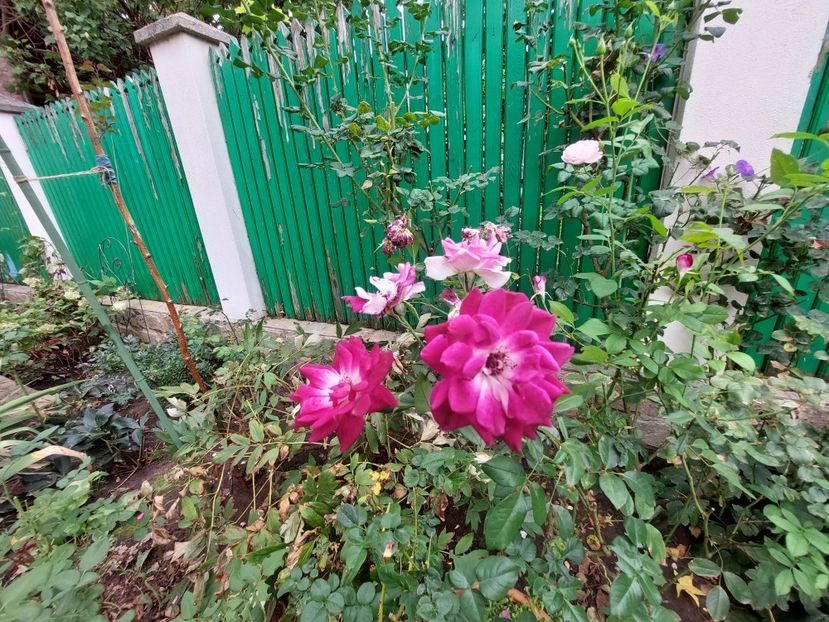  - 2023 iulie aug sept