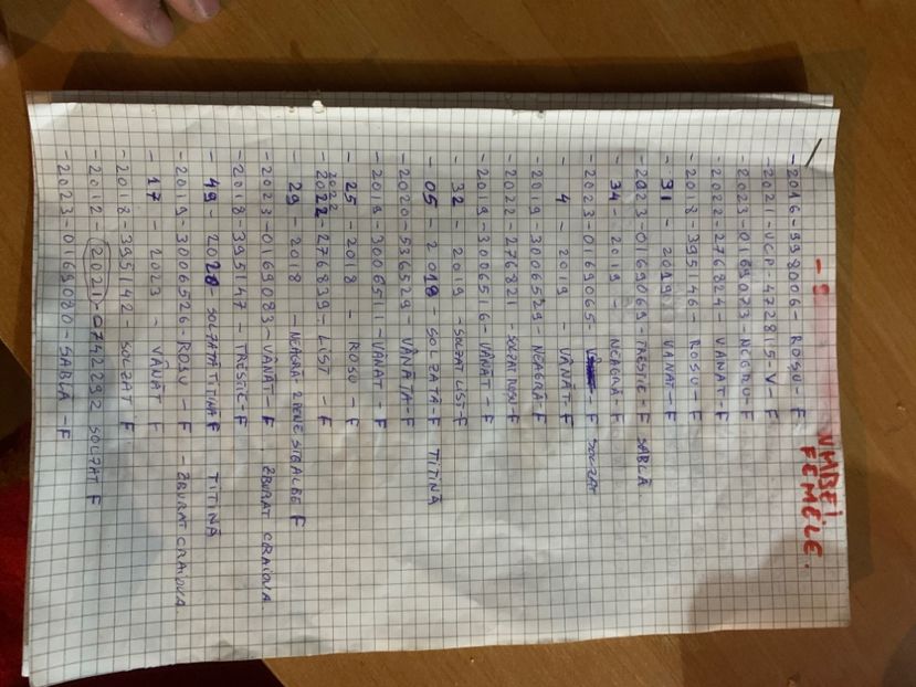 FE9243A9-267F-4F22-91D3-488FC1C90089 - 2024 porumbei 2024