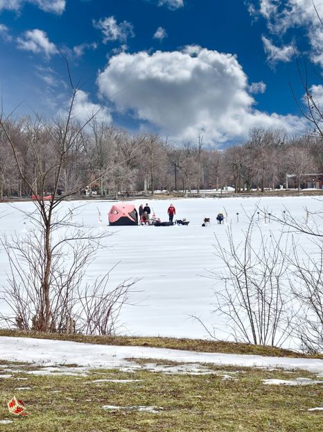 Winter Lakeshore - Iarna pe lac - CANADIAN WINTER - Iarna Canadiana