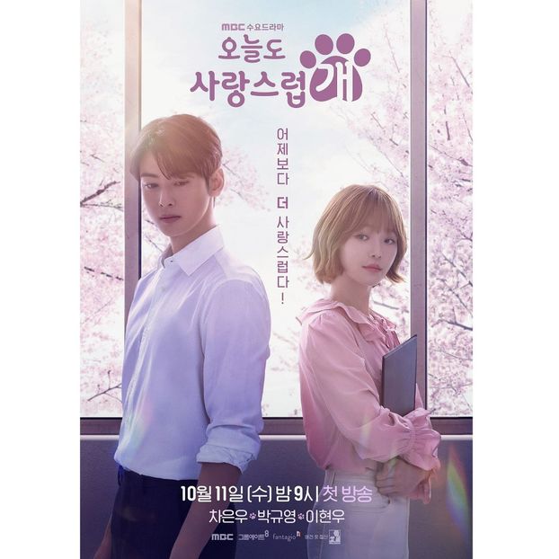 A Good Day to be a Dog - x-k-Korean Dramas 2023