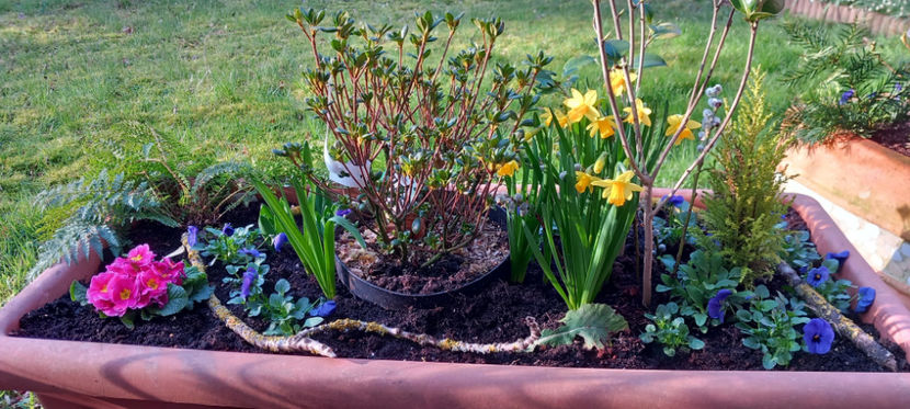  - 2024 - 01 - Primavara