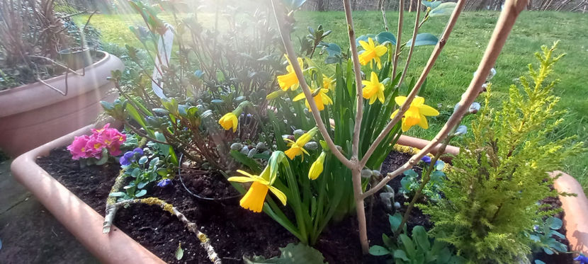  - 2024 - 01 - Primavara