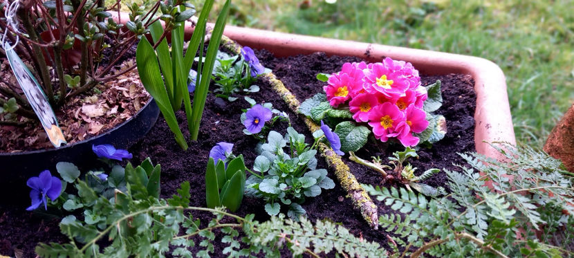  - 2024 - 01 - Primavara