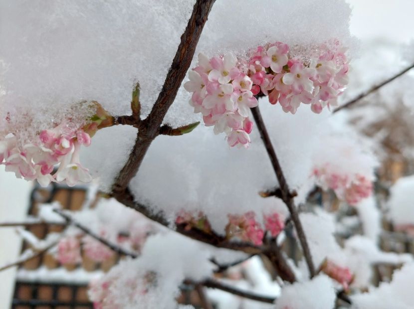  - 2022 feb martie april mai