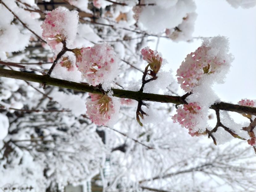  - 2022 feb martie april mai