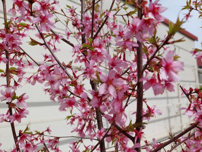  - 2022 feb martie april mai