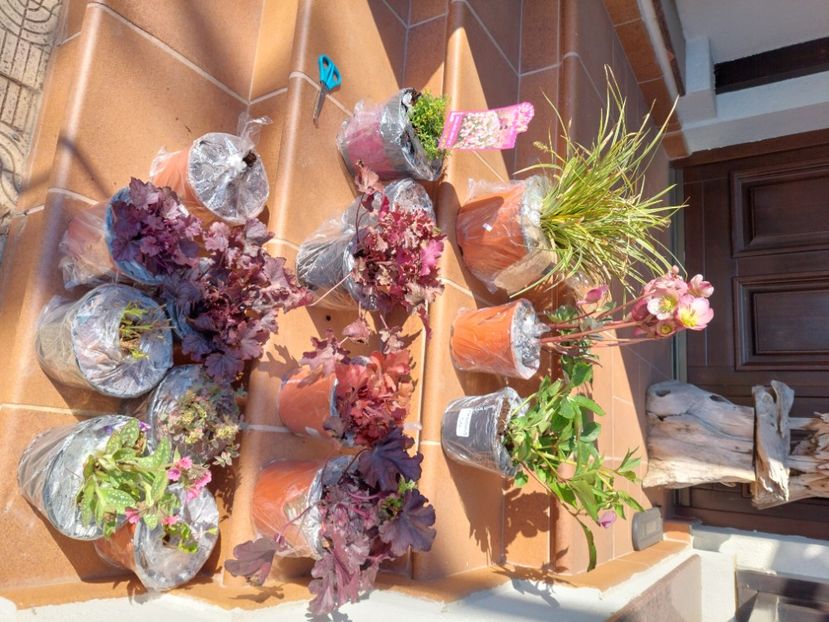  - 2022 feb martie april mai