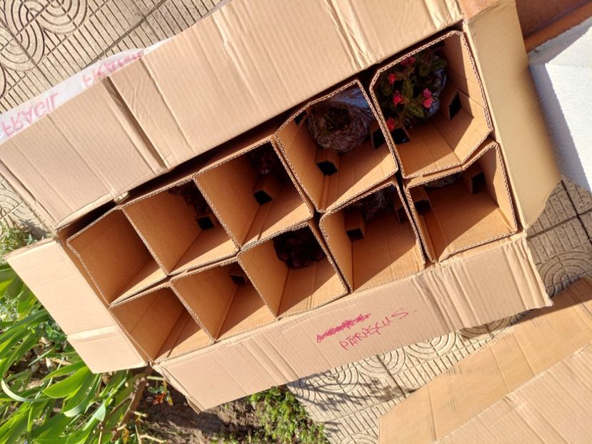  - 2022 feb martie april mai