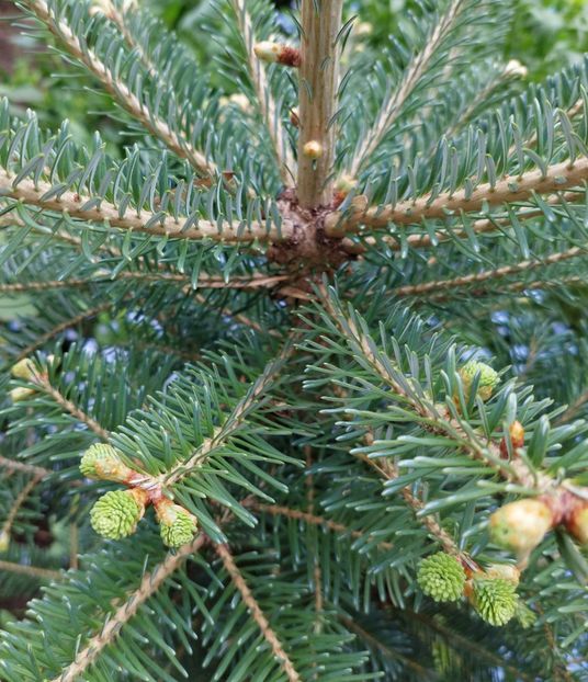  - 2022 feb martie april mai