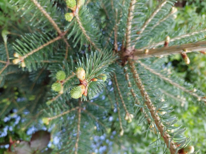  - 2022 feb martie april mai