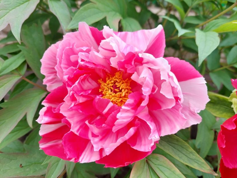  - 2022 feb martie april mai