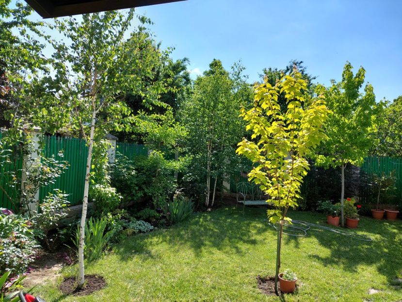  - 2022 feb martie april mai