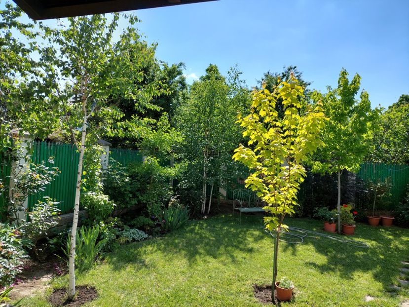  - 2022 feb martie april mai