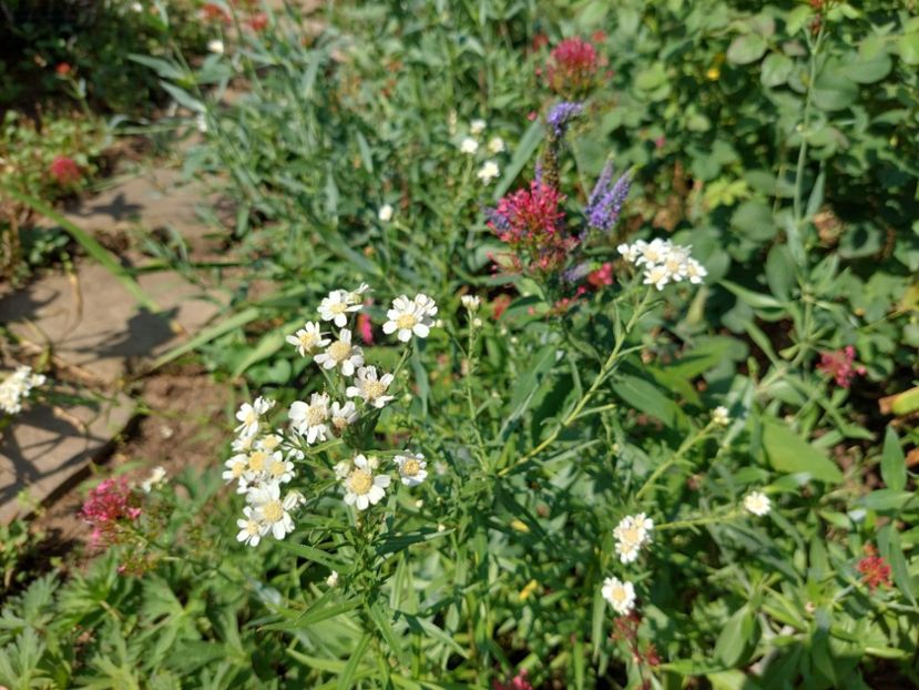  - 2022 iun iul aug sept