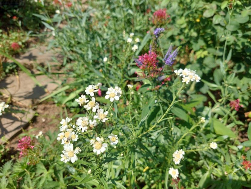  - 2022 iun iul aug sept