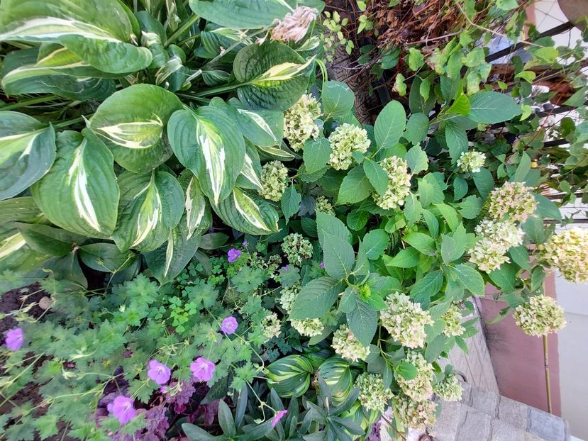  - 2022 iun iul aug sept