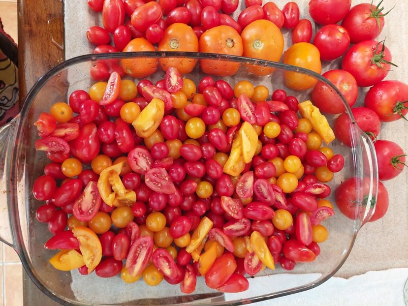  - 2022 iun iul aug sept