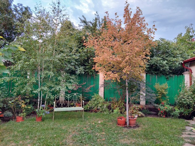  - 2022 iun iul aug sept