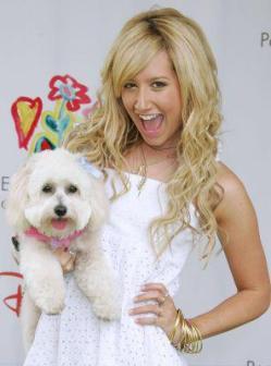 sharpay-evans - ashley tisdale