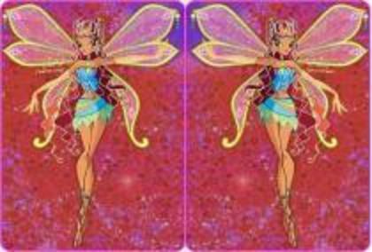 winx (6) - winx