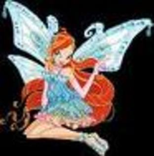 winx (14) - winx