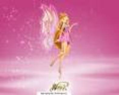 winx (18)