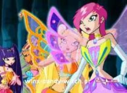 winx (20) - winx