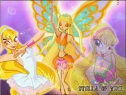 winx (22)