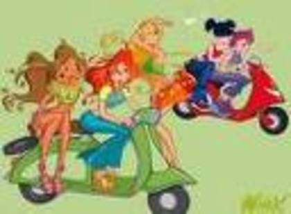 winx (25) - winx