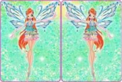 winx (59) - winx