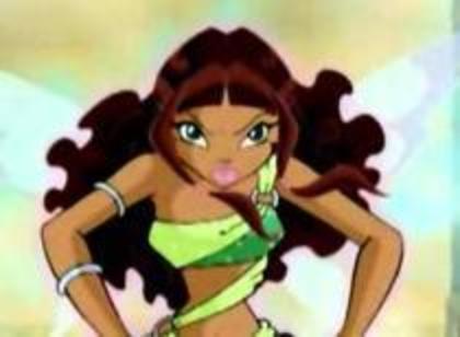 winx (60) - winx