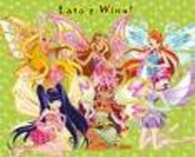 winx (71) - winx